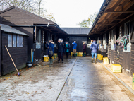 AK171122-83 - Owners look around stables